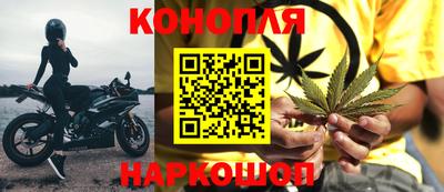 крисы Ставрополь