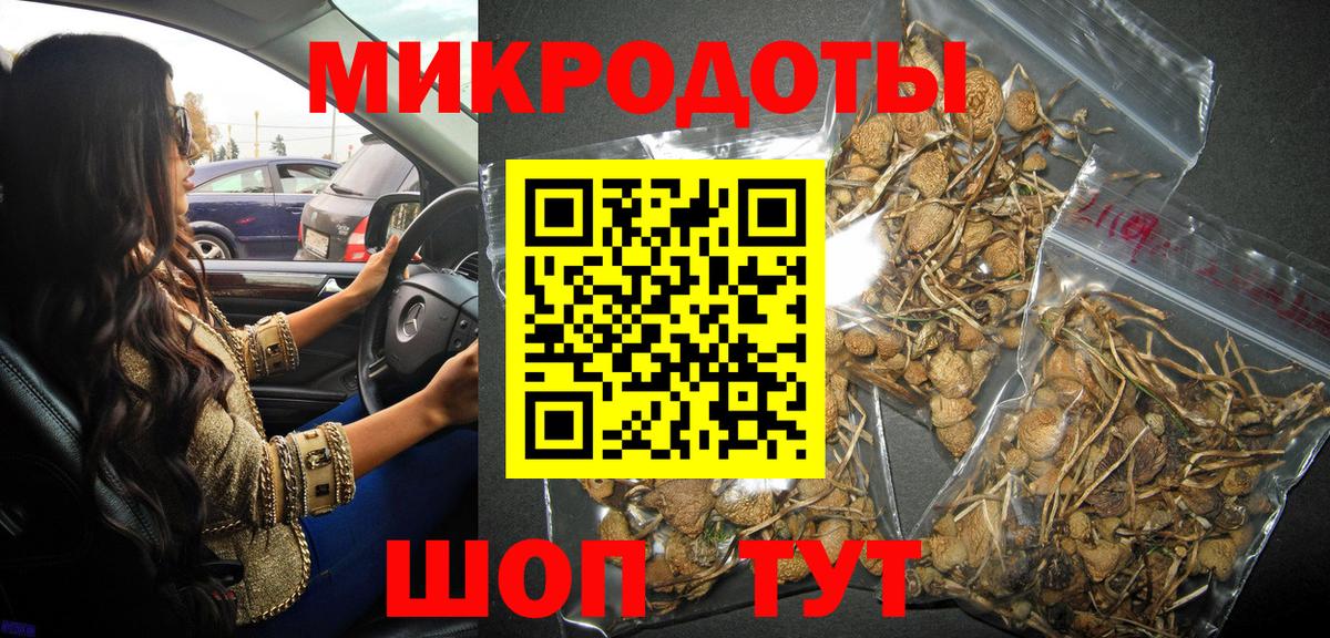 Нижний Тагил  Галлюциногенные грибы прущие грибы  купить  сайты  Вход с VPN 