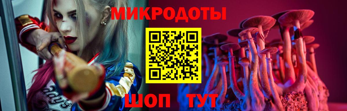 Псилоцибиновые грибы мухоморы Нижний Тагил